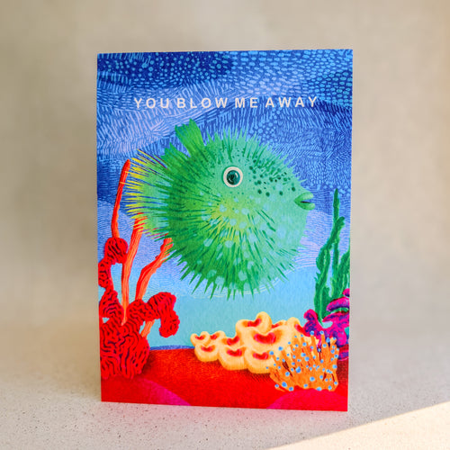 Fish Fissa (set van 3)